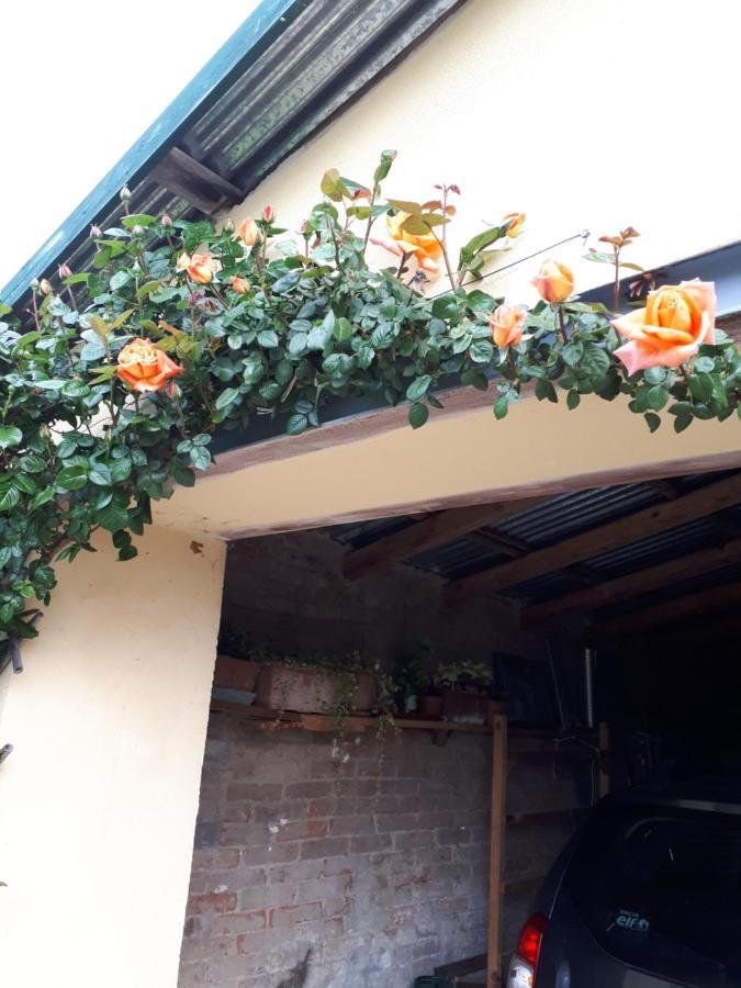 Casa Relax Immersa Nel Verde Della Natura Casalborgone ภายนอก รูปภาพ