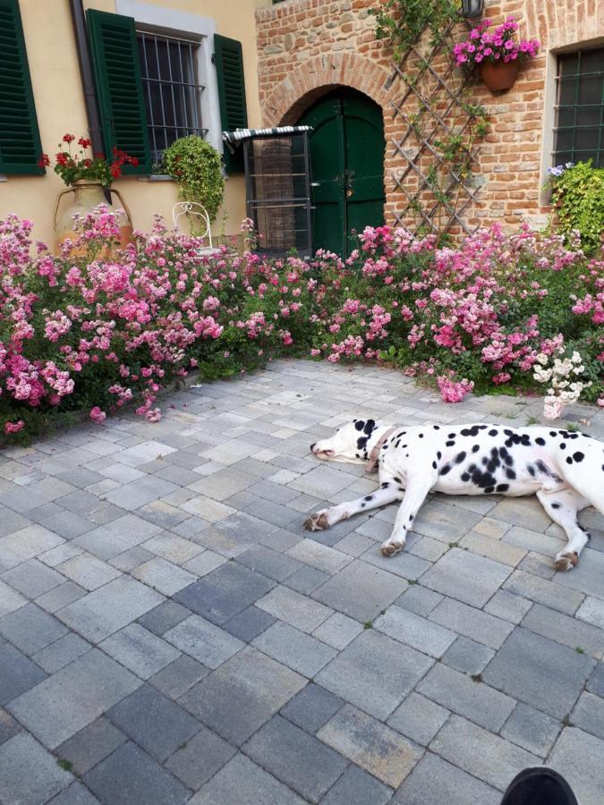Casa Relax Immersa Nel Verde Della Natura Casalborgone ภายนอก รูปภาพ