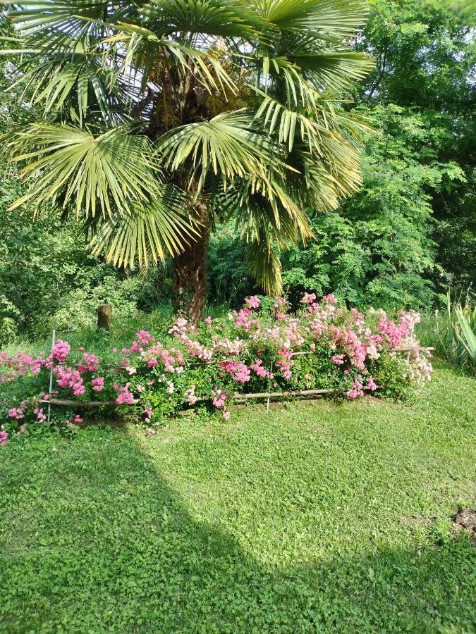 Casa Relax Immersa Nel Verde Della Natura Casalborgone ภายนอก รูปภาพ
